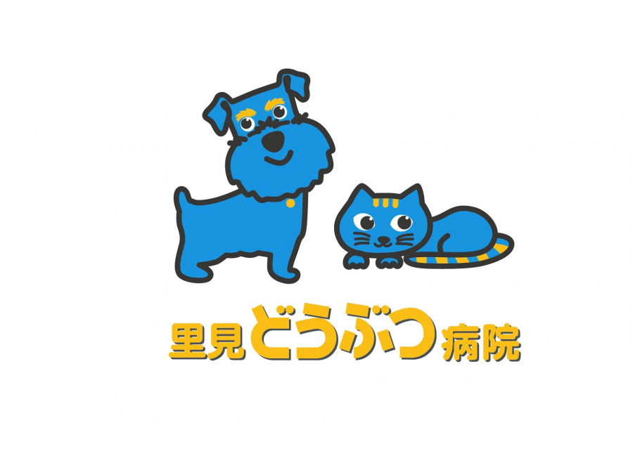 里見どうぶつ病院の様子